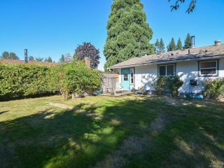 Photo 41: 3797 MEREDITH DRIVE in ROYSTON: CV Courtenay South House for sale (Comox Valley)  : MLS®# 771388