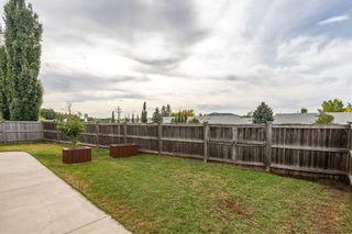 Photo 40: 14 Thomas Drive: Strathmore Detached for sale : MLS®# A2079424