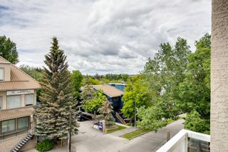 Photo 25: 302 1540 17 Avenue SW in Calgary: Sunalta Apartment for sale : MLS®# A2045313