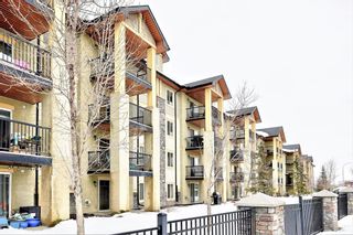 Photo 25: 1425 8810 Royal Birch Boulevard NW in Calgary: Royal Oak Apartment for sale : MLS®# A1209055