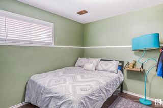Photo 30: 7119 188 Street in Edmonton: Zone 20 House for sale : MLS®# E4342397