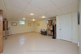 Photo 19: 6438 9th Line in New Tecumseth: Rural New Tecumseth House (Bungalow) for sale : MLS®# N8461992
