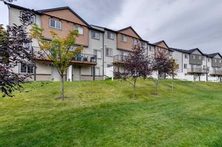 Photo 36: 113 Pantego Lane NW in Calgary: Panorama Hills Row/Townhouse for sale : MLS®# A2082401