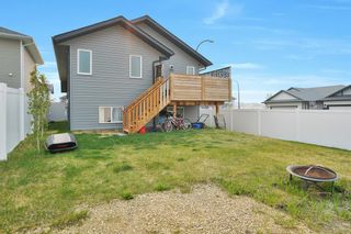 Photo 34: 200 Thomlison Avenue: Red Deer Detached for sale : MLS®# A2050043