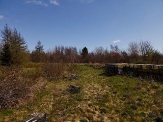 Photo 5: 11984 HIGHWAY 217 in Sea Brook: Digby County Vacant Land for sale (Annapolis Valley)  : MLS®# 202111923