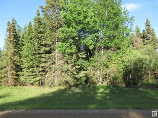 Photo 6: RR 223 Twp Rd 612: Rural Thorhild County Vacant Lot/Land for sale : MLS®# E4318874