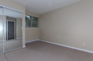 Photo 16: 303 1121 HOWIE AVENUE in Coquitlam: Central Coquitlam Condo for sale : MLS®# R2218435