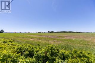 Photo 13: Lot Route 960 in Upper Cape: Vacant Land for sale : MLS®# M149689