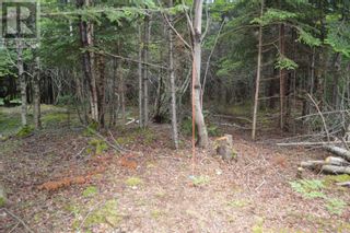 Photo 43: Lot 1 Blue Rocks Road in Garden Lots: Vacant Land for sale : MLS®# 202313149