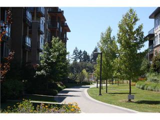 Photo 15: 208 3479 WESBROOK Mall in Vancouver: University VW Condo for sale (Vancouver West)  : MLS®# V1075800