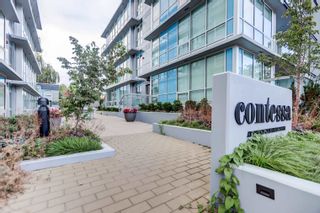 Photo 30: 501 5289 CAMBIE Street in Vancouver: Cambie Condo for sale in "CONTESSA" (Vancouver West)  : MLS®# R2733509