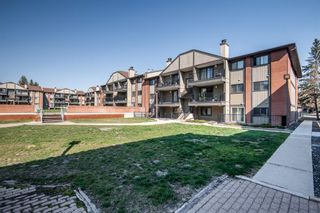 Photo 29: 4307 13045 6 Street SW in Calgary: Canyon Meadows Apartment for sale : MLS®# A1203863