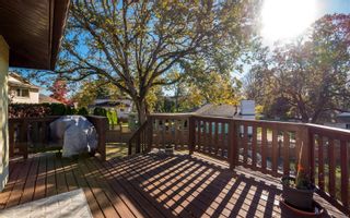Photo 13: 4266 Panorama Pl in Saanich: SE Lake Hill House for sale (Saanich East)  : MLS®# 949172