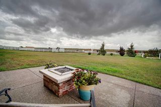 Photo 29: 232060 Range Road 245: Rural Wheatland County Agriculture for sale : MLS®# A2113040