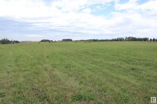 Photo 7: RR 13 TWP 473A: Rural Leduc County Vacant Lot/Land for sale : MLS®# E4376029
