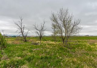 Photo 36: 2 STREET EAST: Claresholm Commercial Land for sale : MLS®# A1224060