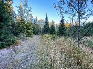 Photo 7: N1/2of DL7871 TAKLA FOREST Road in Prince George: Nechako Ridge Land for sale in "McPhee Road" (PG City North)  : MLS®# R2768067