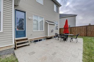 Photo 40: 132 WATERLILY Cove: Chestermere Detached for sale : MLS®# C4306111