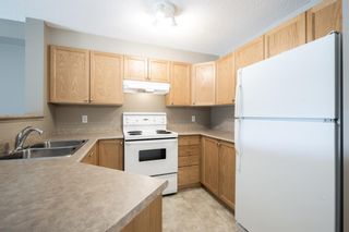 Photo 11: 5206 604 8 Street SW: Airdrie Apartment for sale : MLS®# A1237957
