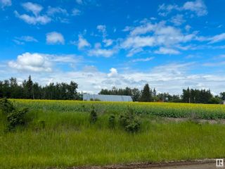 Photo 3: Twp 552 RR 274: Rural Sturgeon County Rural Land/Vacant Lot for sale : MLS®# E4303951