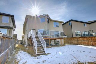 Photo 46: 315 Kincora Heights NW in Calgary: Kincora Detached for sale : MLS®# A1200385
