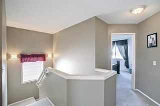 Photo 24: 25 Martha's Meadow Place NE in Calgary: Martindale Detached for sale : MLS®# A1259180