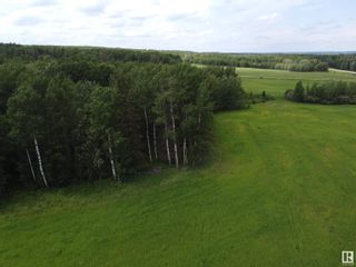 Photo 11: NW-31-47-1-5 TWP 480 RR 20: Rural Leduc County Rural Land/Vacant Lot for sale : MLS®# E4299612