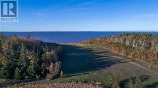 Photo 10: Acreage Point Prim Road in Point Prim: Vacant Land for sale : MLS®# 201901832