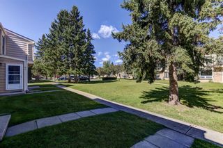 Photo 3: 94 2319 56 Street NE in Calgary: Pineridge Row/Townhouse for sale : MLS®# A1198992