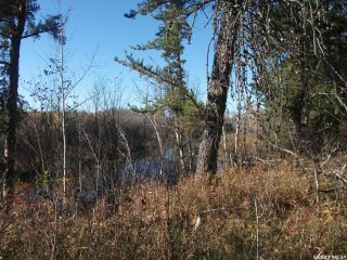 Photo 9: Red Deer River Lots in Hudson Bay: Lot/Land for sale (Hudson Bay Rm No. 394)  : MLS®# SK891533