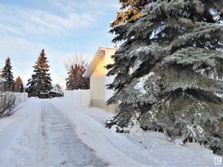 Photo 30: 11044 Beaumaris Road NW in Edmonton: Zone 27 House for sale : MLS®# E4323545