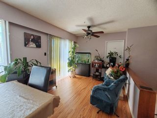 Photo 9: 2159 SALISBURY Avenue in Port Coquitlam: Glenwood PQ House for sale : MLS®# R2879199