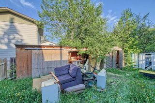 Photo 39: 205 Pineset Place NE in Calgary: Pineridge Semi Detached (Half Duplex) for sale : MLS®# A2052172