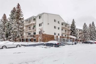 Photo 4: 205 3420 50 Street NW in Calgary: Varsity Apartment for sale : MLS®# A2117337
