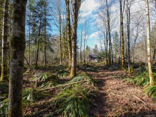 Photo 53: 3699 Burns Rd in COURTENAY: CV Courtenay West House for sale (Comox Valley)  : MLS®# 834832