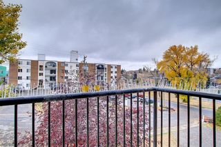 Photo 11: 301 2316 17B Street SW in Calgary: Bankview Apartment for sale : MLS®# A2006431