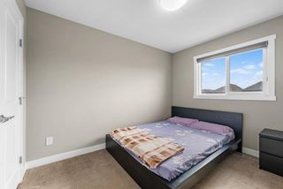 Photo 31: 459 Savanna Boulevard NE in Calgary: Saddle Ridge Semi Detached (Half Duplex) for sale : MLS®# A2115342