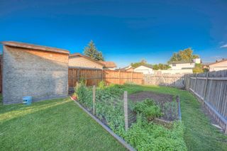 Photo 31: 108 TEMPLEMONT Circle NE in Calgary: Temple Detached for sale : MLS®# A1019637