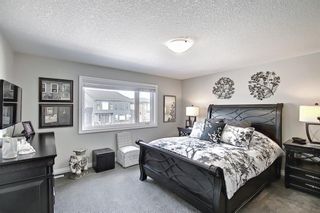 Photo 24: 210 Evansglen Drive NW in Calgary: Evanston Detached for sale : MLS®# A1080625