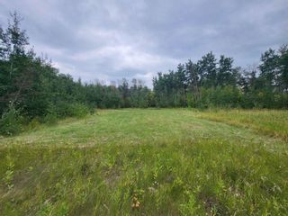 Photo 10: 0 Road 13E, 1/2 Mile North of 117N Highway in Meleb: RM of Armstrong Residential for sale (R19)  : MLS®# 202320621