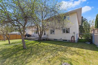 Photo 44: 5032 Dalhart Road NW in Calgary: Dalhousie Detached for sale : MLS®# A2049162