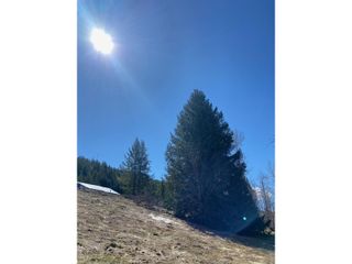 Photo 3: 201 JOLIFFE WAY in Rossland: Vacant Land for sale : MLS®# 2475917