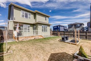 Photo 38: 1400 Price Road: Carstairs Detached for sale : MLS®# A2125755
