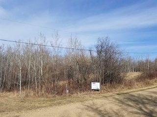 Photo 6: Lakeview Drive: Rural Camrose County Residential Land for sale : MLS®# A2129369
