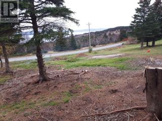 Photo 2: 0 Lance Cove Road in Bell Island: Vacant Land for sale : MLS®# 1264812