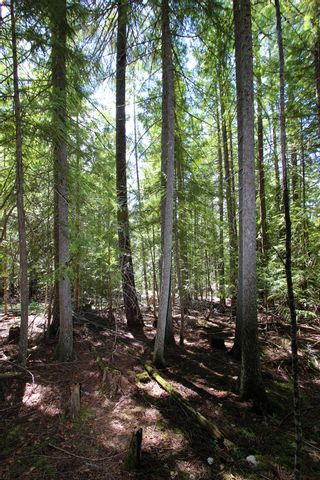 Photo 18: Lot 212 Estate Place in Anglemont: North Shuswap Land Only for sale : MLS®# 10233839