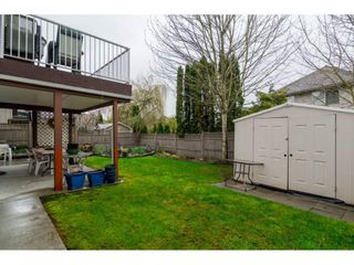 Photo 19: 22319 50 Avenue in Langley: Murrayville House for sale in "UPPER MURRAYVILLE" : MLS®# R2154621
