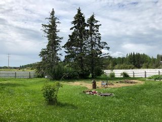 Photo 22: 6431 Highway 616: Rural Brazeau County Detached for sale : MLS®# A1242848
