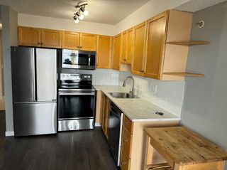 Photo 5: 423 1717 60 Street SE in Calgary: Red Carpet Apartment for sale : MLS®# A2124090