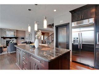 Photo 17: 35 AUBURN SOUND Cove SE in Calgary: Auburn Bay House for sale : MLS®# C4028300